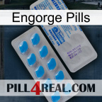 Engorge Pills new15